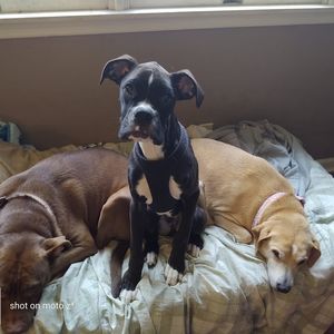 Meet your Posher, John